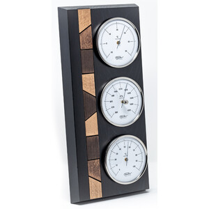 Fischer Real wood weather station black