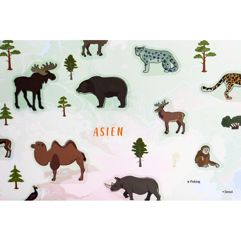 GeoMetro Childrens map The world of animals (84 x 60 cm)